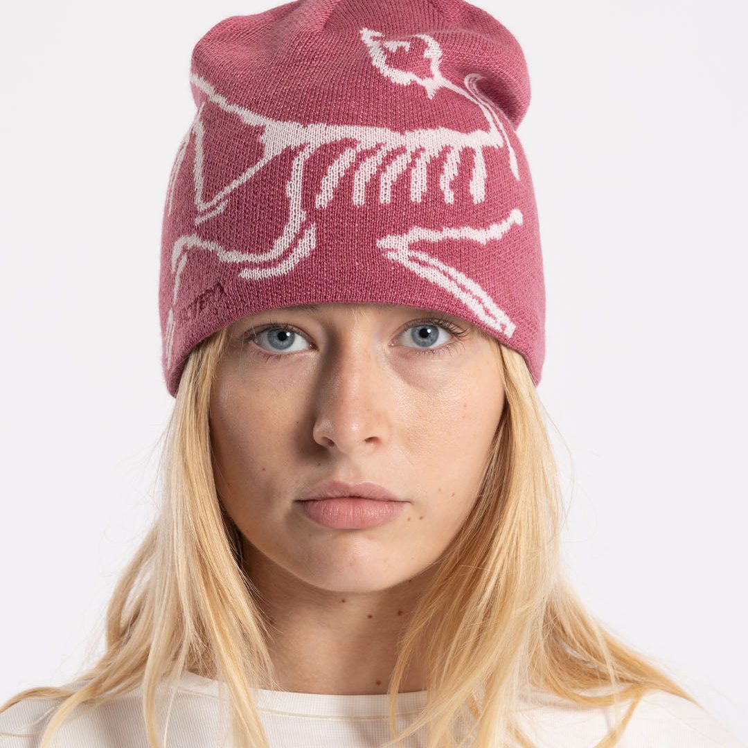 Arc'teryx Bird Head Toque